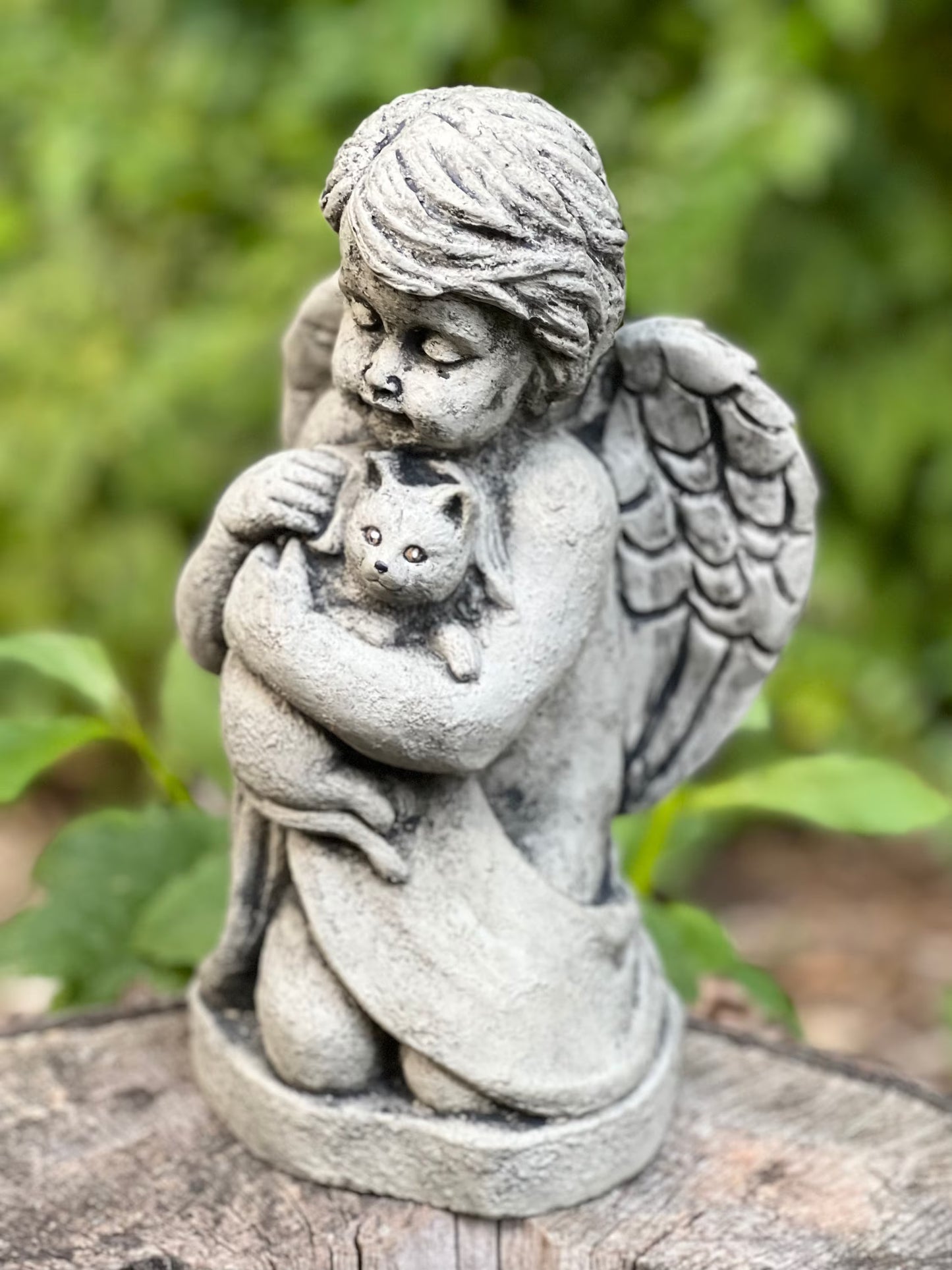 Angel with kitty