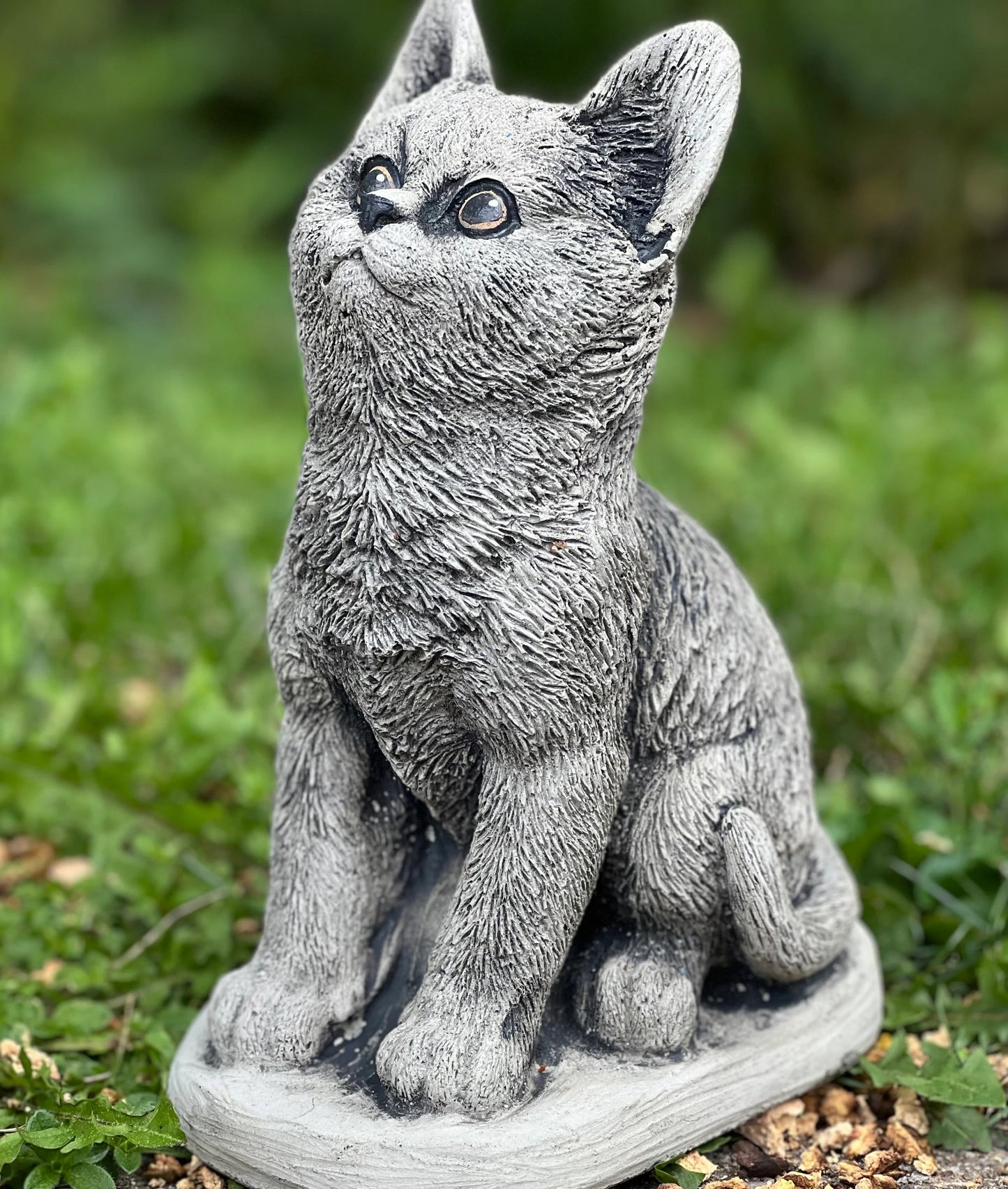 Cat sitting on basement statue
