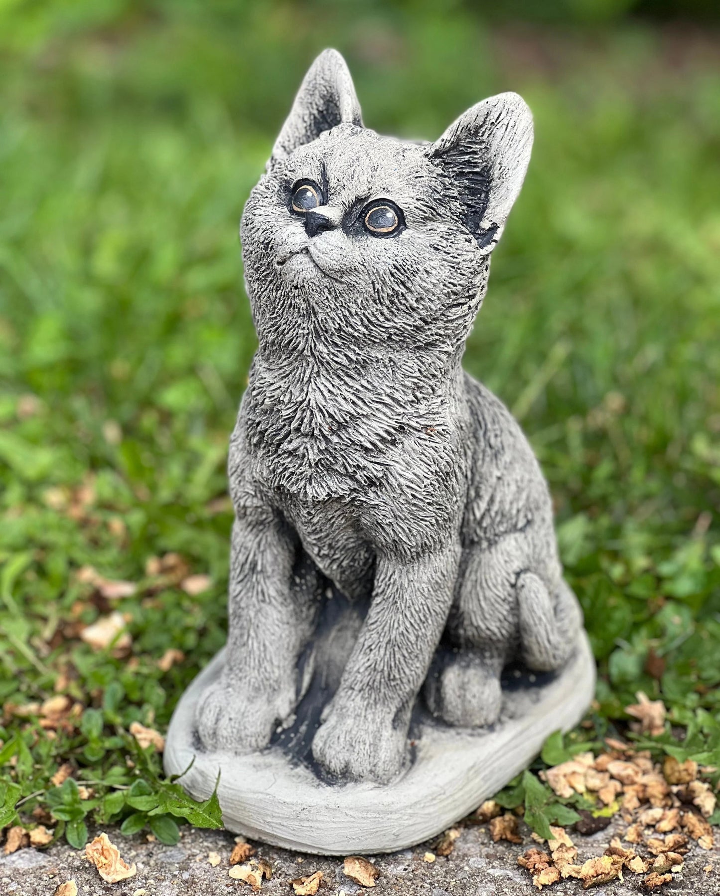 Cat sitting on basement statue