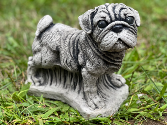 Standing pug on basement figure