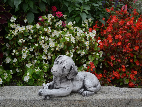 Labrador dog laying statue
