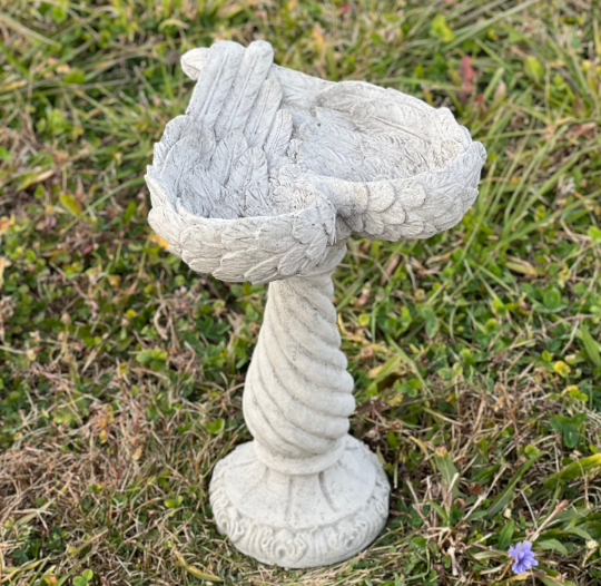 Bird bath wings of an angel statue