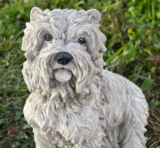 Maltese shih tzu statue