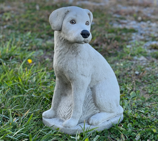 Detailed Labrador Retriever statue