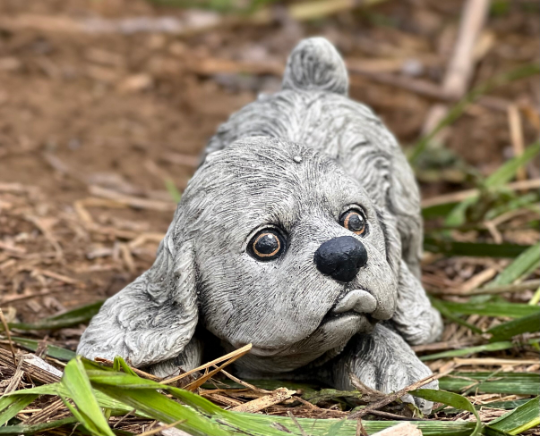 Concrete cocker spaniel statue