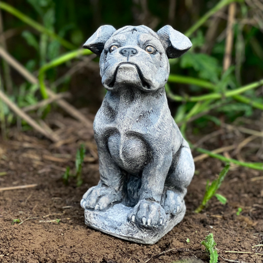 Concrete Boxer dog statue