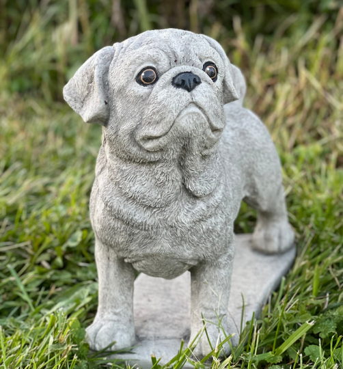 Concrete  Pug dog statue