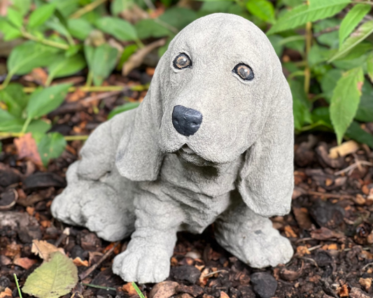 Massive Basset dog statue