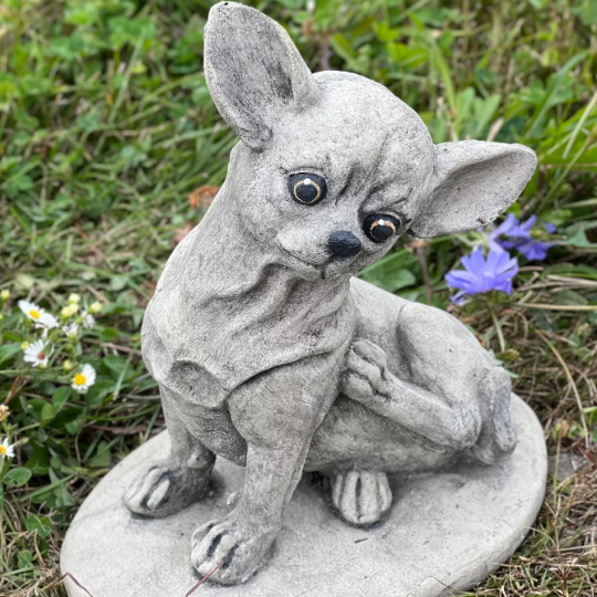 Concrete sitting Chihuahua statue