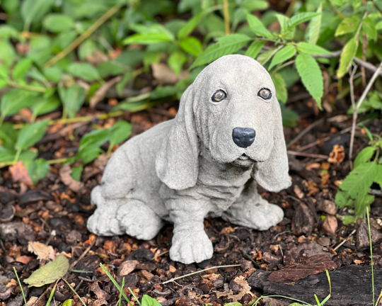 Massive Basset dog statue