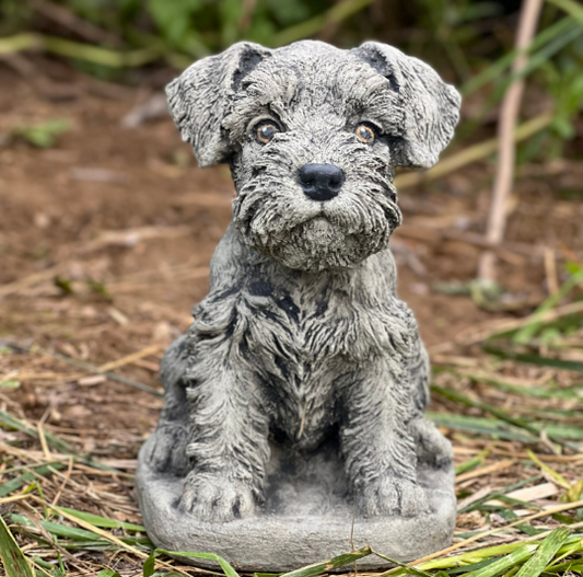 Resting Schnauzer puppy statue