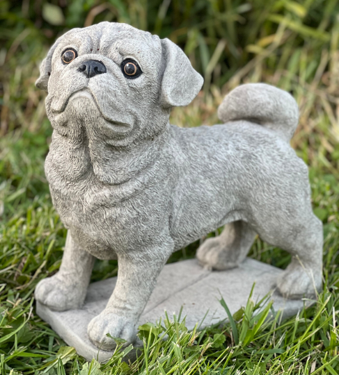 Concrete  Pug dog statue