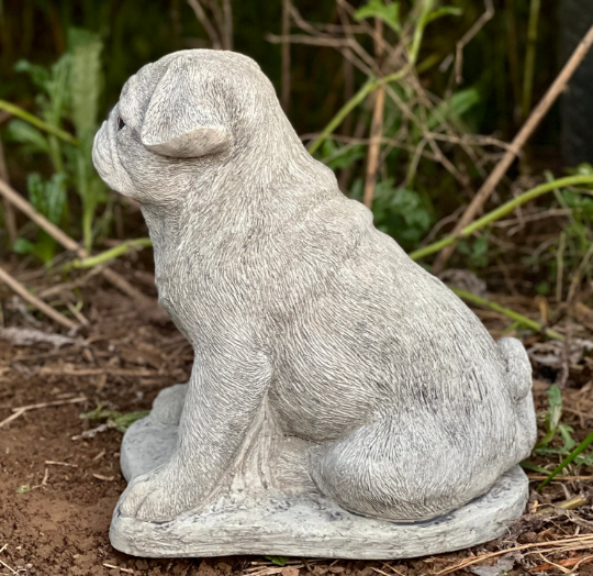 Sitting Pug statue for home and garden