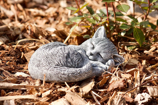 Curled up laying cat statue