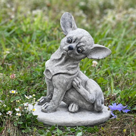 Concrete sitting Chihuahua statue