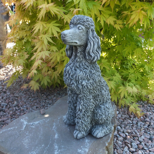 Sitting Poodle dog statue