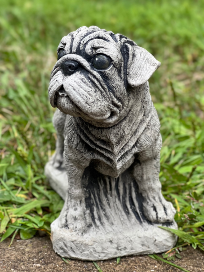 Standing pug on basement figure