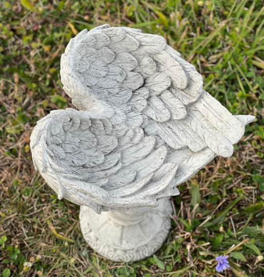 Bird bath wings of an angel statue
