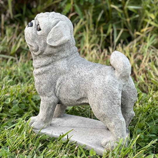 Concrete  Pug dog statue