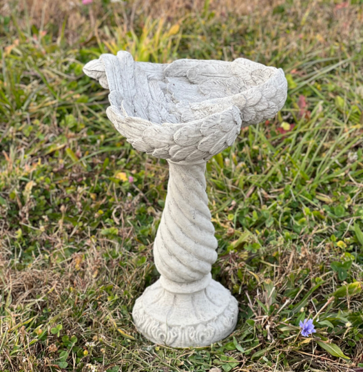Bird bath wings of an angel statue