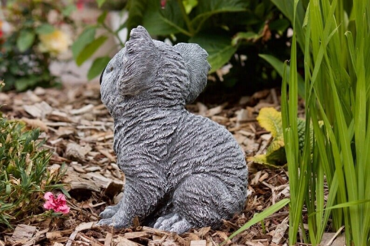 Concrete Australian koala statue