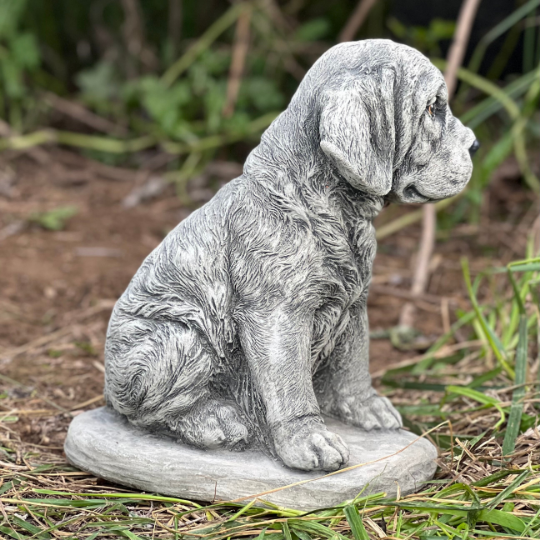 Concrete labrador retriever statue