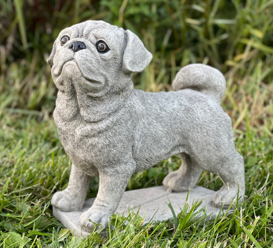 Concrete  Pug dog statue