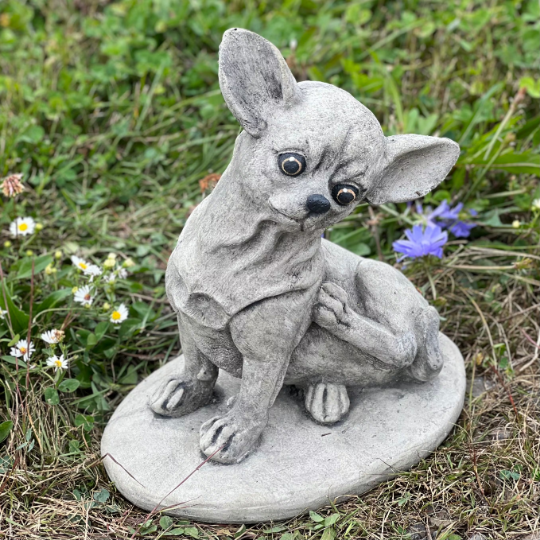 Concrete sitting Chihuahua statue