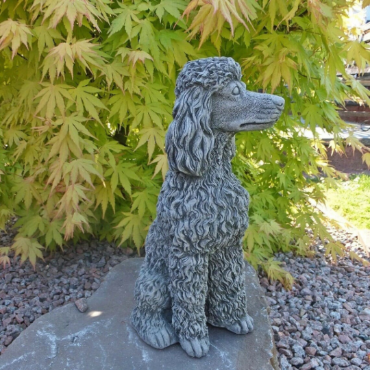 Sitting Poodle dog statue