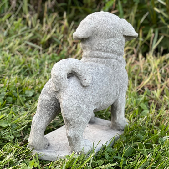 Concrete  Pug dog statue