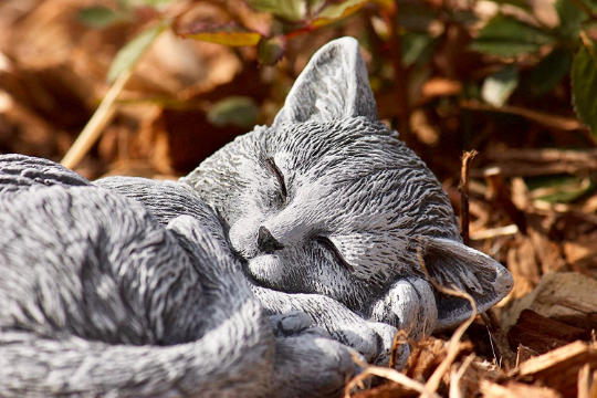 Curled up laying cat statue