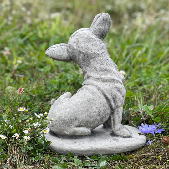 Concrete sitting Chihuahua statue