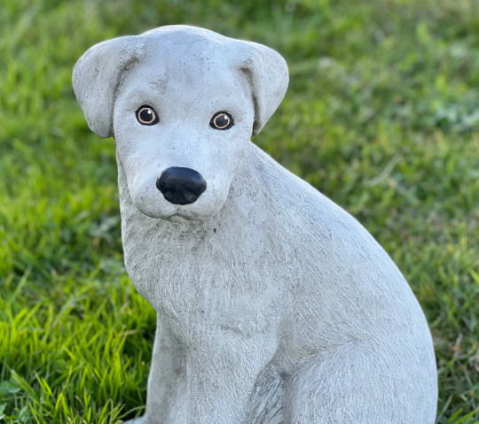 Detailed Labrador Retriever statue