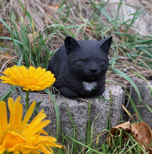 Customized black cat statue