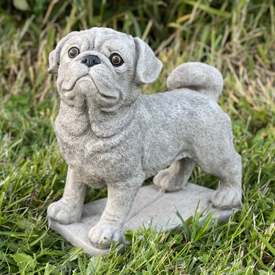 Concrete  Pug dog statue