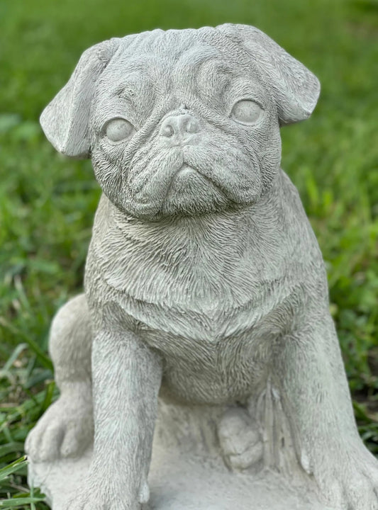 Sitting pug puppy statue