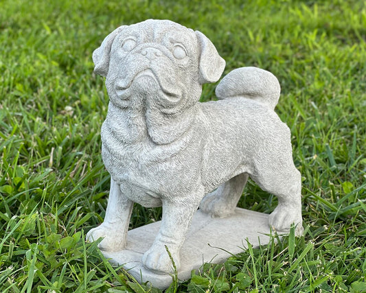 Realistic puppy pug sculpture