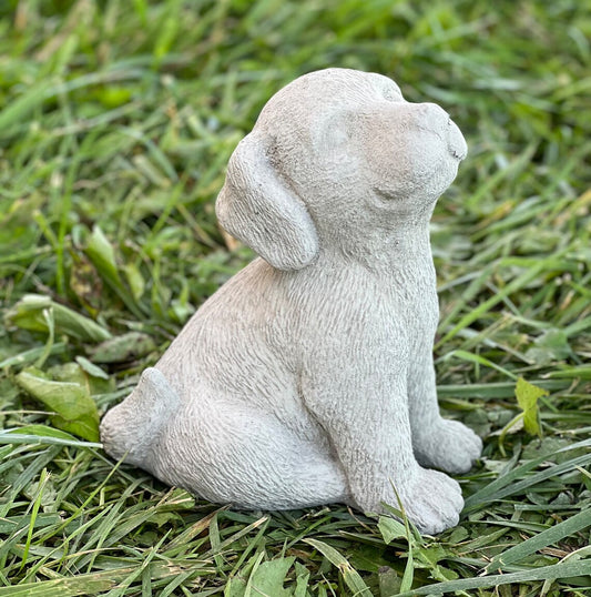 Labrador puppy statue