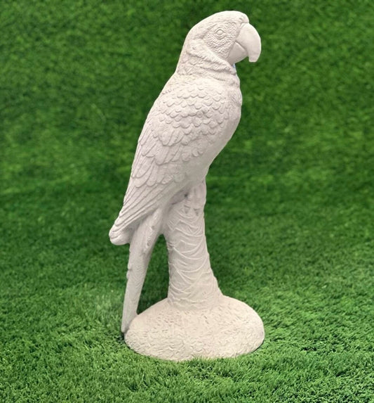 Concrete Parrot statue