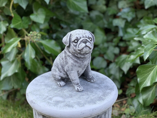 Pug dog statue