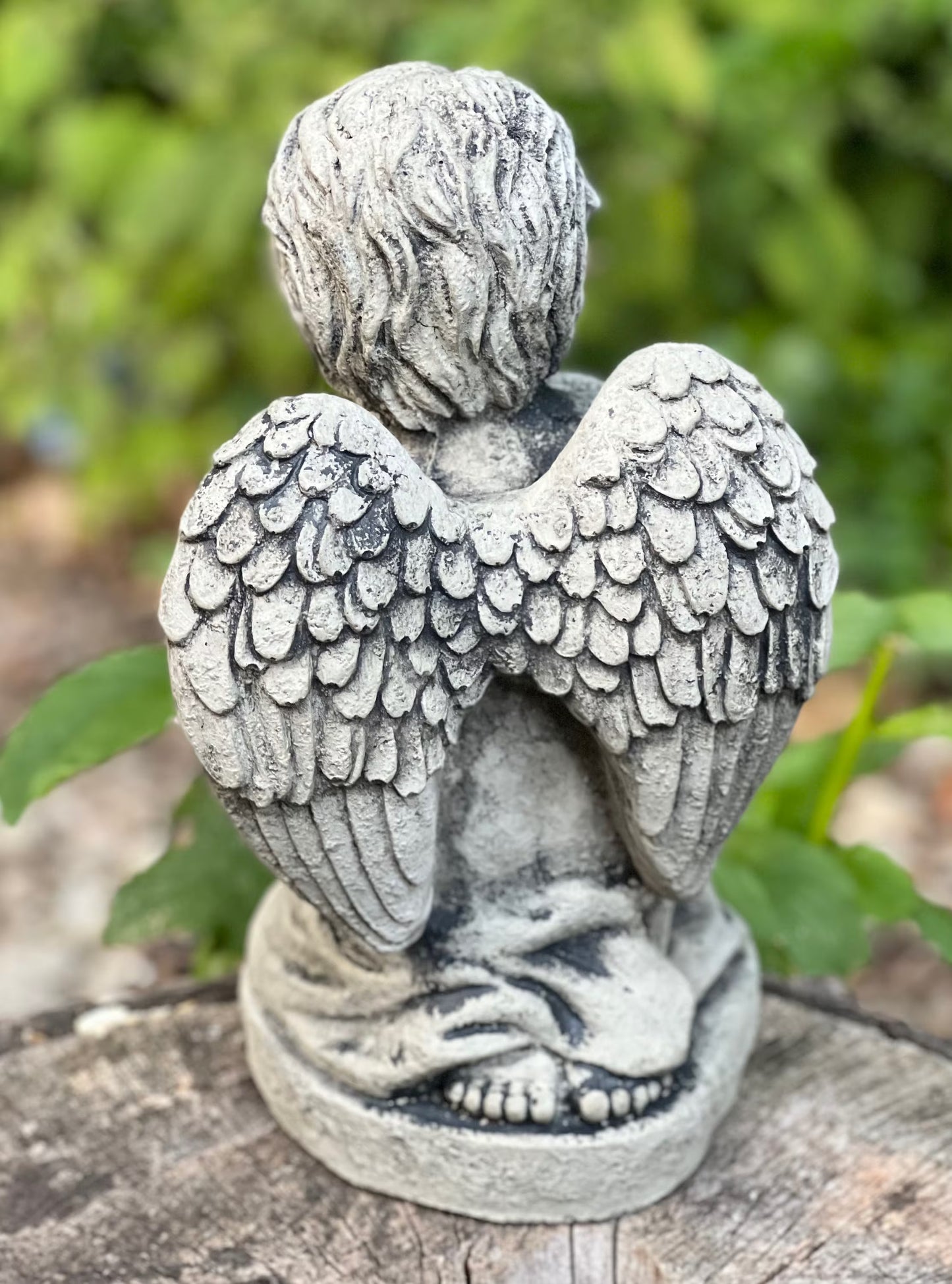 Angel with kitty