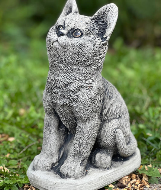 Cat sitting on basement statue